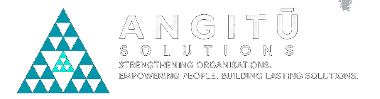 Angitū Solutions logo